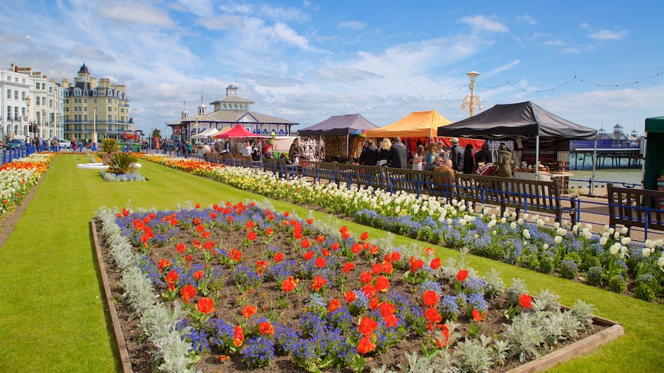 Eastbourne which includes a garden and flowers