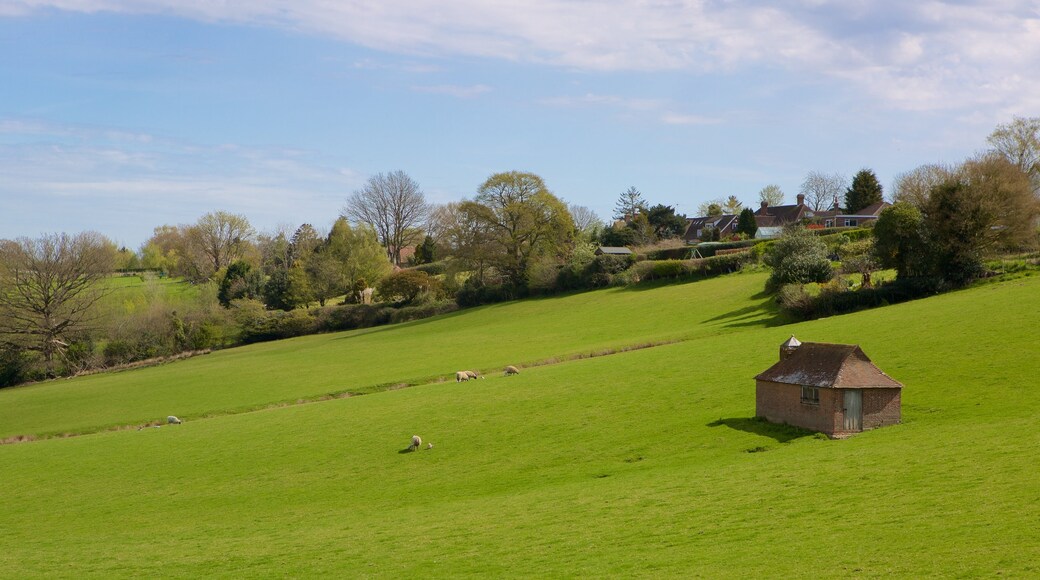 Hastings montrant parc et scĂšnes tranquilles