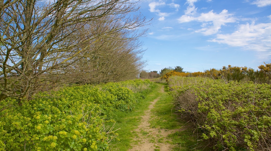 Hastings Country Park featuring tranquil scenes and a garden