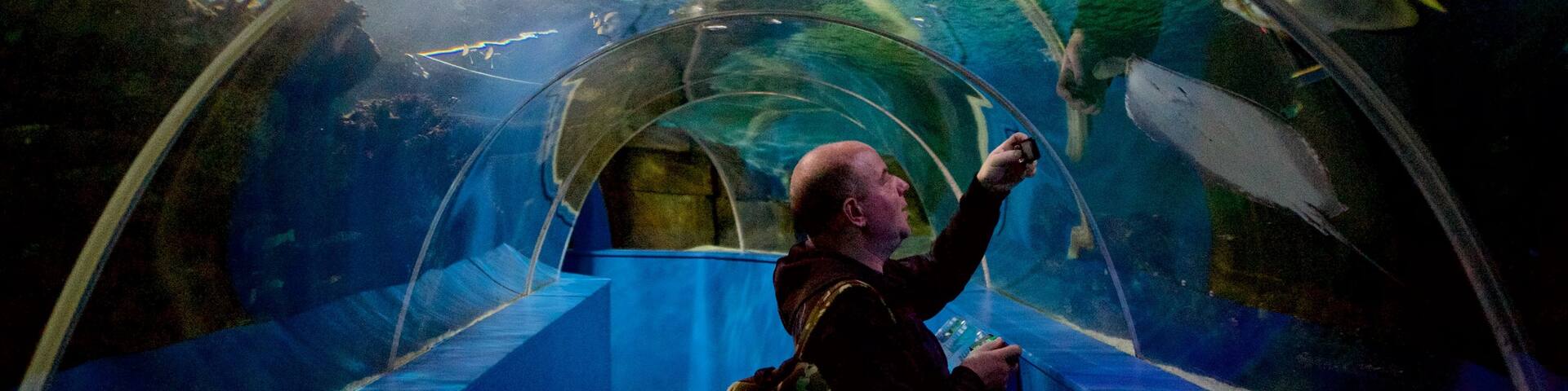 Blue Reef Aquarium featuring marine life as well as an individual male