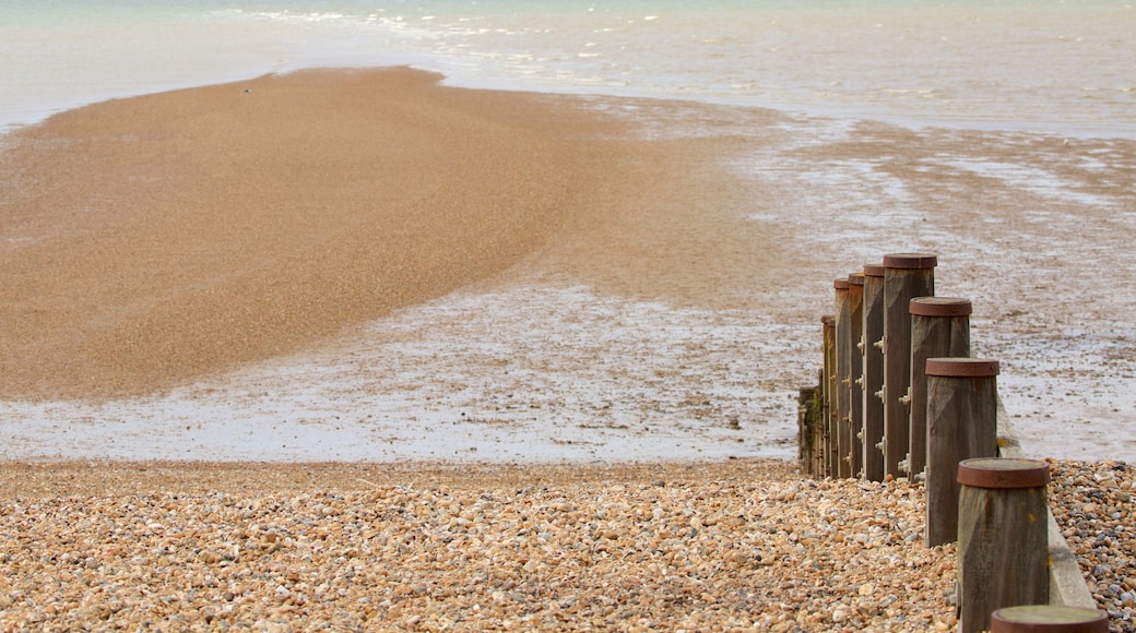 Whitstable Beach showing a pebble beach