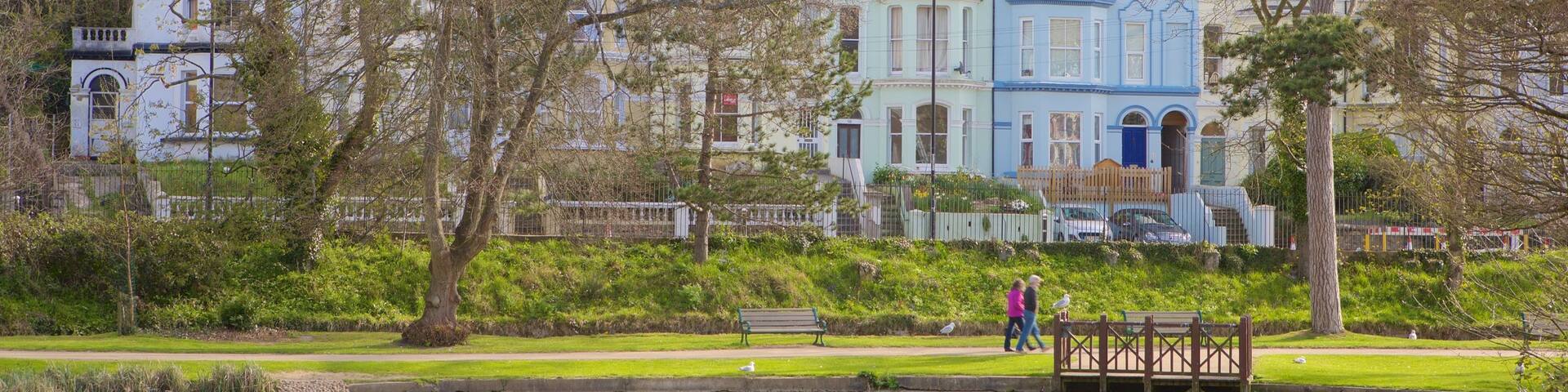 Alexandra Park featuring a park and a pond