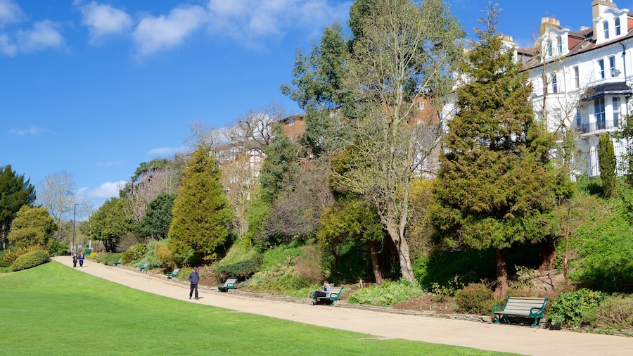 Alexandra Park montrant jardin