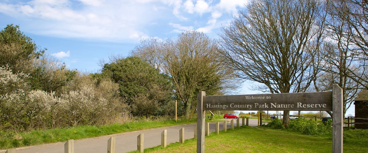Hastings Country Park showing a garden