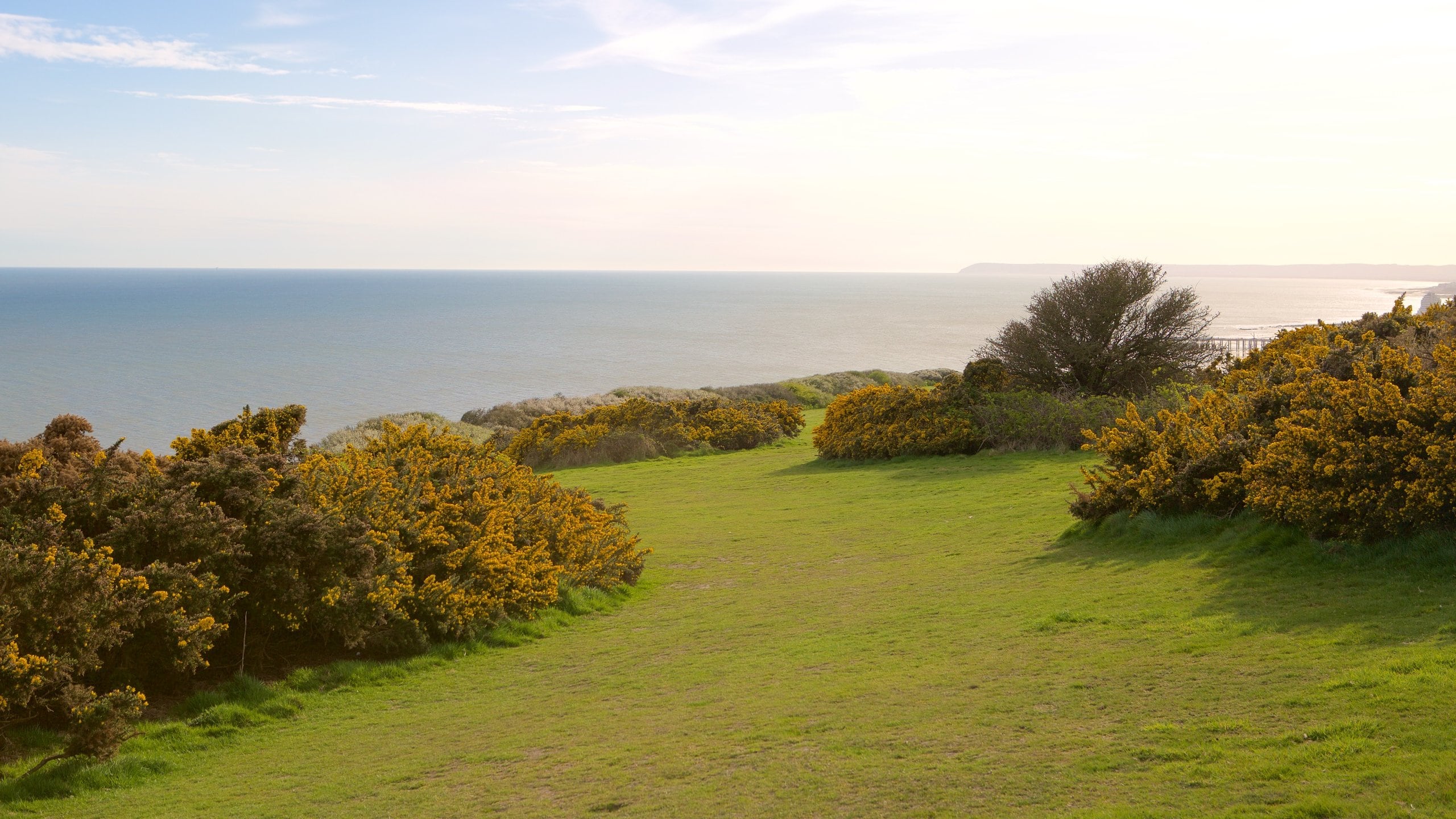 Hastings Country Park, Hastings holiday rentals chalets & more Vrbo