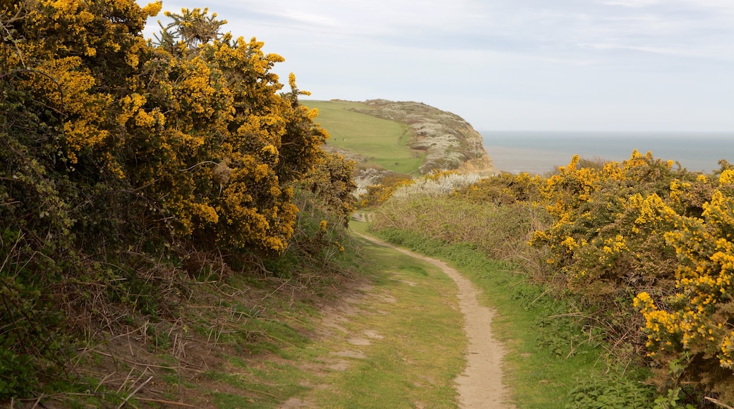 Hastings Country Park -puisto joka esittää yleiset rantanäkymät ja puutarha