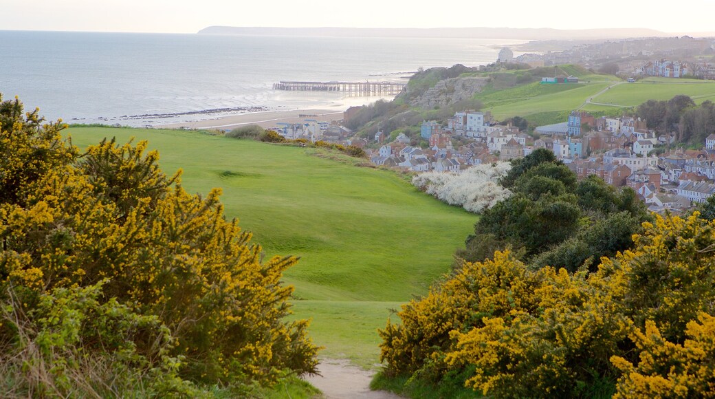 Hastings Country Park som inkluderer hage og kyst