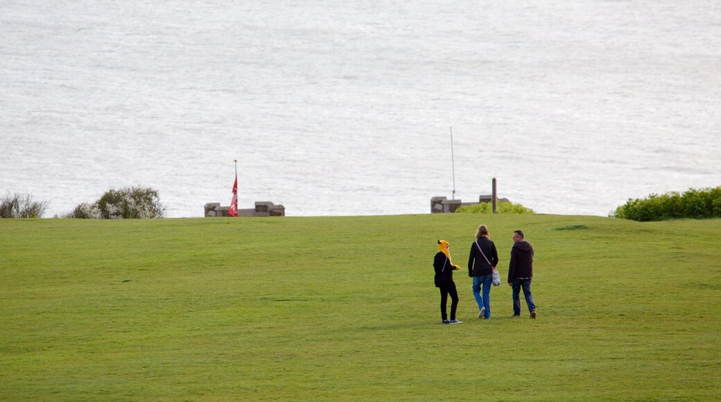 Hastings Country Park som omfatter udsigt over kystområde og en park såvel som en lille gruppe mennesker