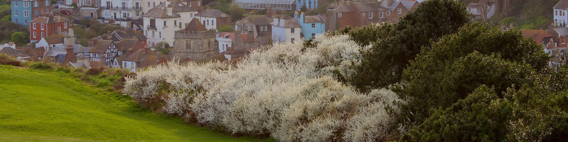 Hastings Country Park which includes a small town or village, general coastal views and a park