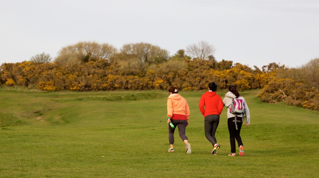 Hastings Country Park che include parco e vista della costa cosi come un piccolo gruppo di persone