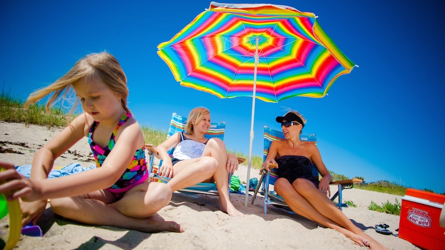 Space Coast mostrando una playa y también una familia