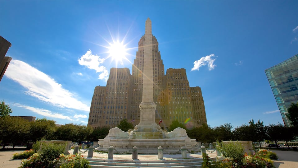 Buffalo que incluye un monumento