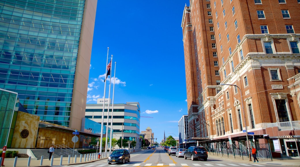 Buffalo showing central business district and a city