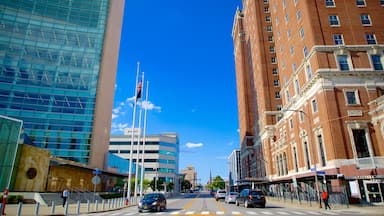 Buffalo showing central business district and a city