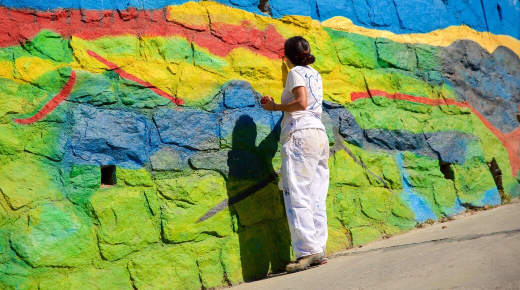 Musée à ciel ouvert de Valparaiso mettant en vedette art en plein air aussi bien que femme