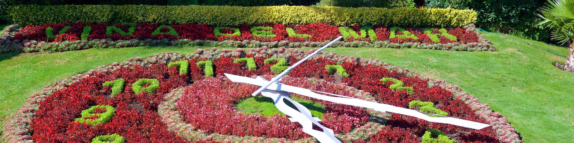 Flower Clock showing flowers and a park