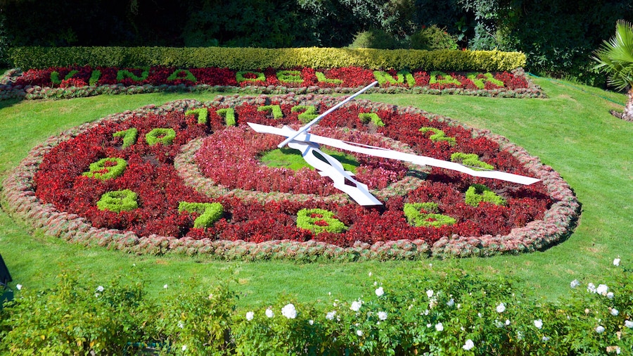 RelĂłgio de Flores