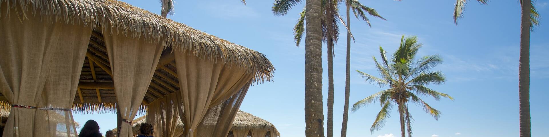 Anakena Beach which includes tropical scenes and general coastal views