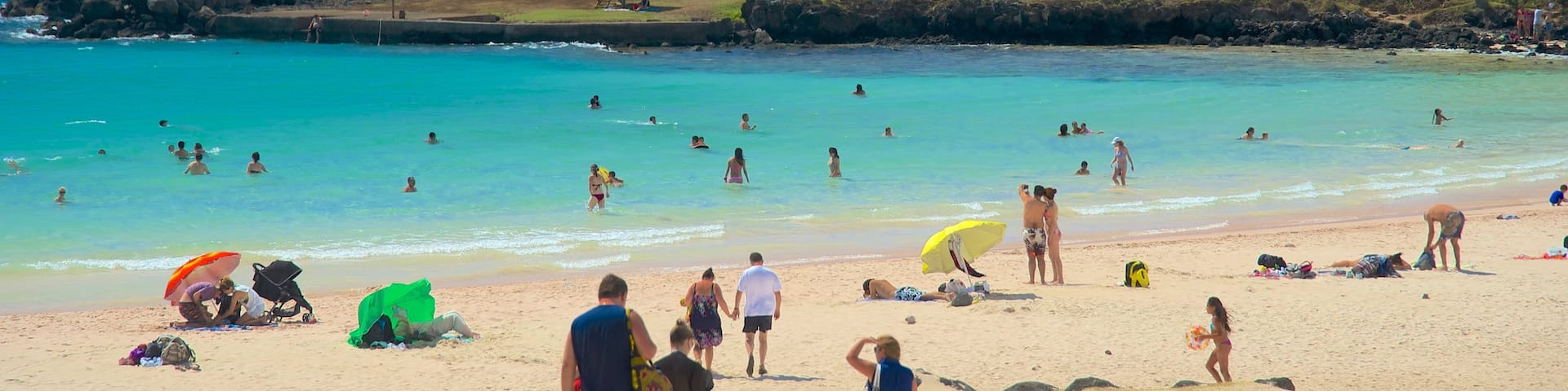 Anakena Beach featuring a sandy beach as well as a small group of people