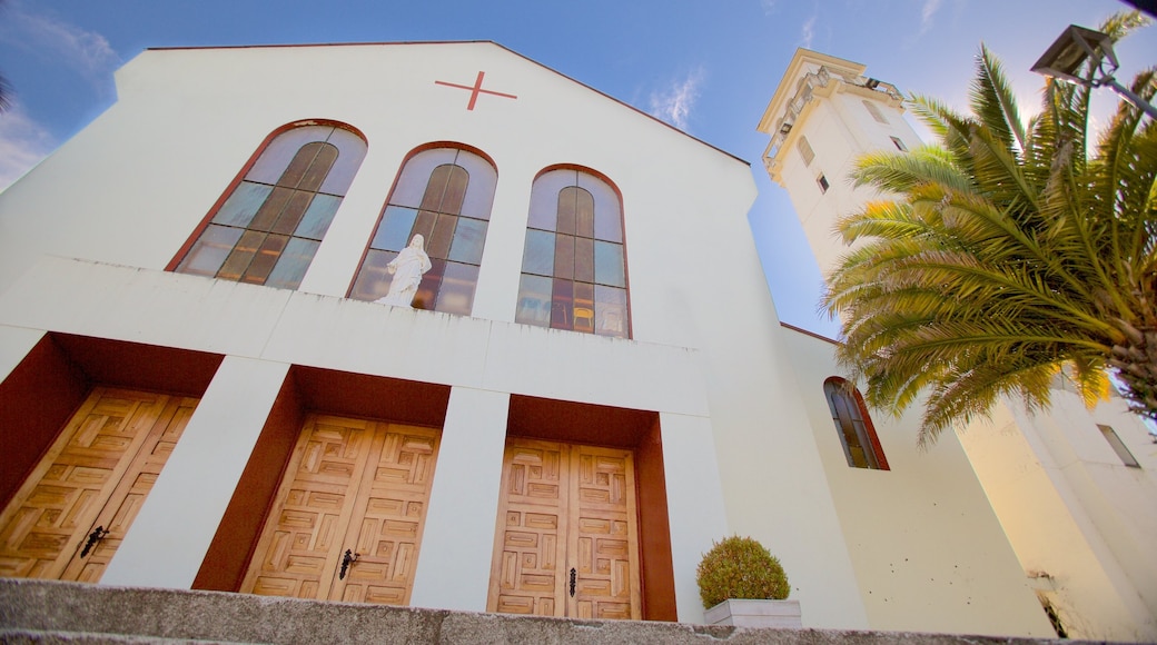 Catedral de Villarrica featuring a church or cathedral