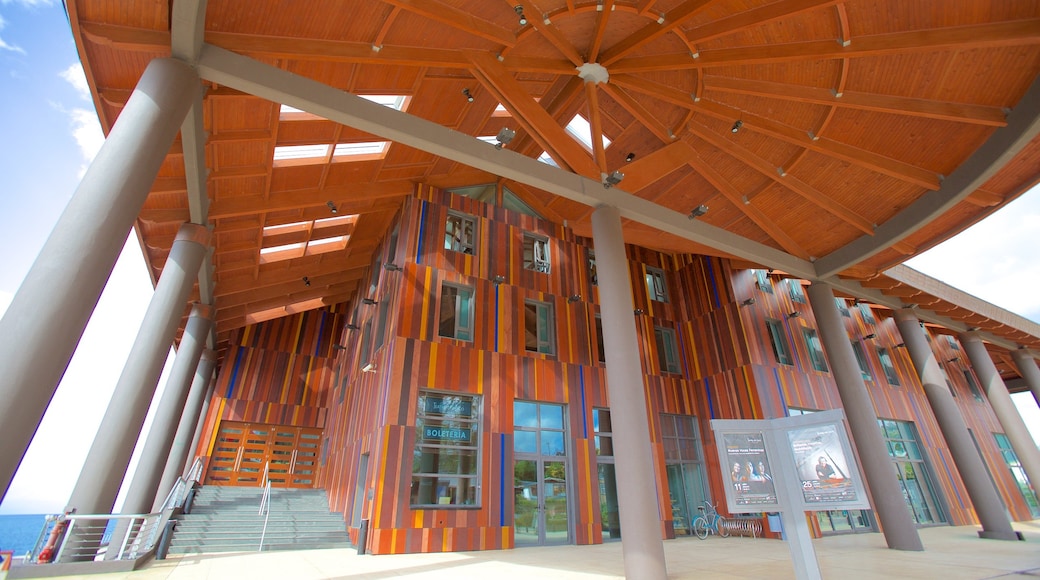 Teatro del Lago showing modern architecture