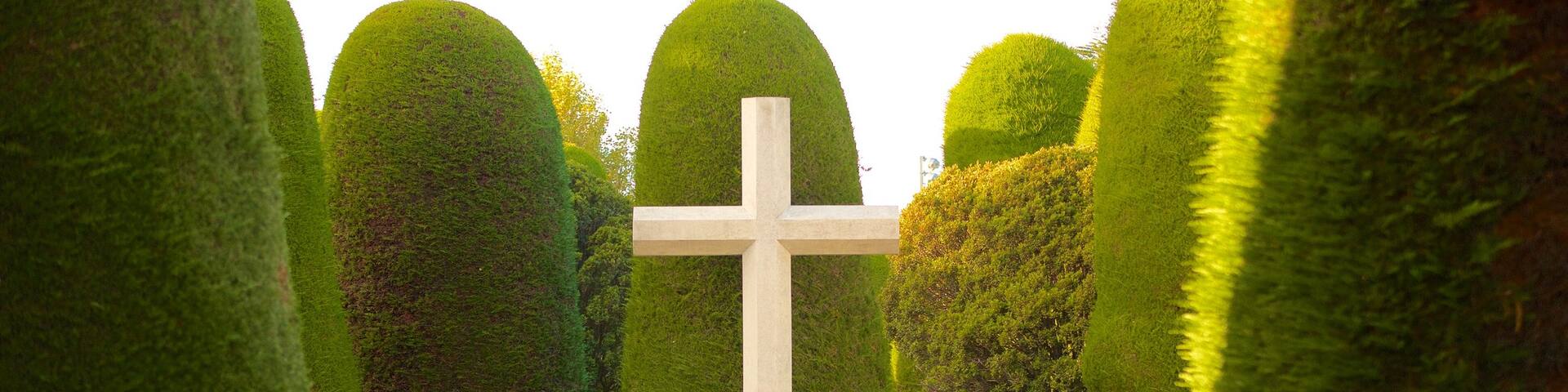 Punta Arenas Cemetery showing a park and religious elements