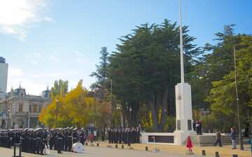 punta arenas turismo que visitar en