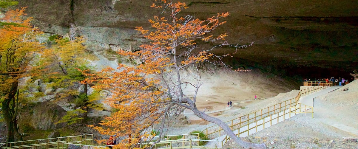 Cueva del Milodón ofreciendo cuevas y un jardín