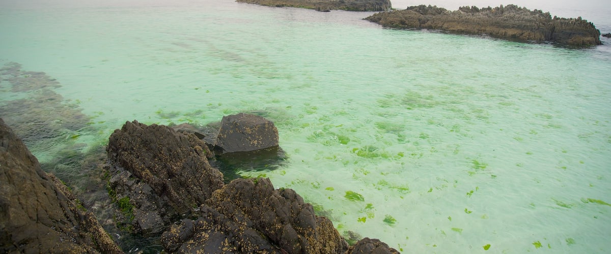 Bahia Inglesa Beach featuring general coastal views