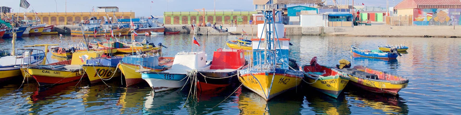Caldera featuring a marina
