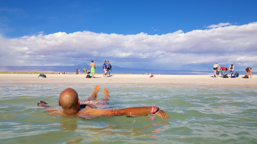 Lagoa de Cejar mostrando natação e uma praia de areia assim como um homem sozinho