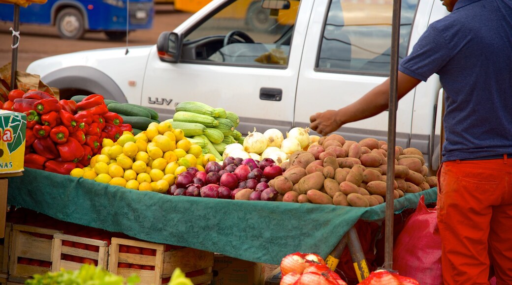 San Pedro de Atacama showing markets and food