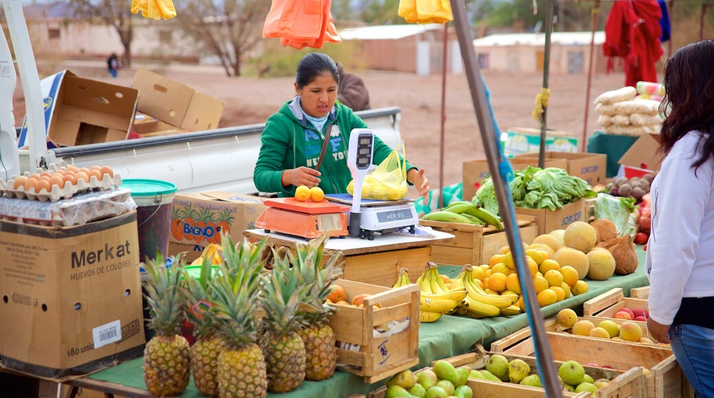 San Pedro de Atacama featuring markets and food as well as an individual femail