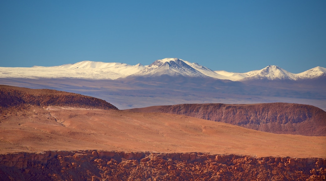 Rio Grande ofreciendo vistas panorámicas y paisajes desérticos