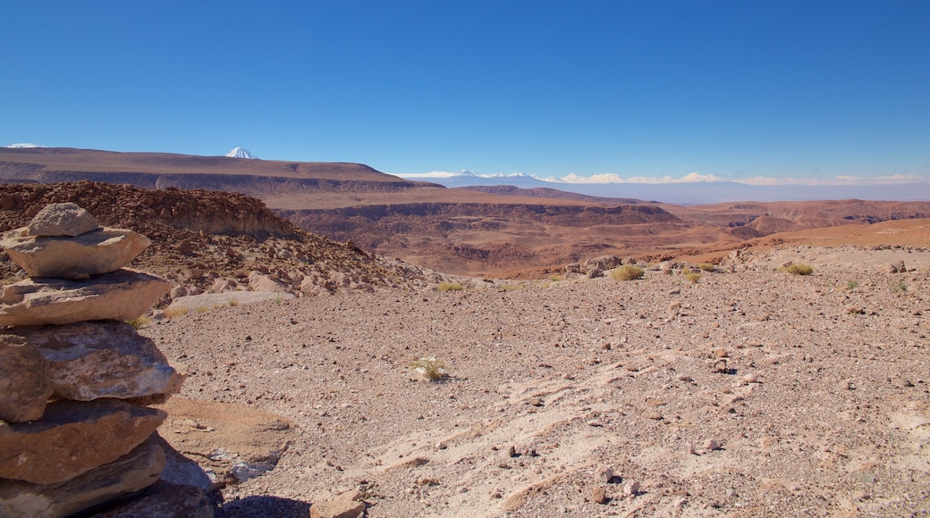 Rio Grande que incluye vistas al desierto y vistas de paisajes
