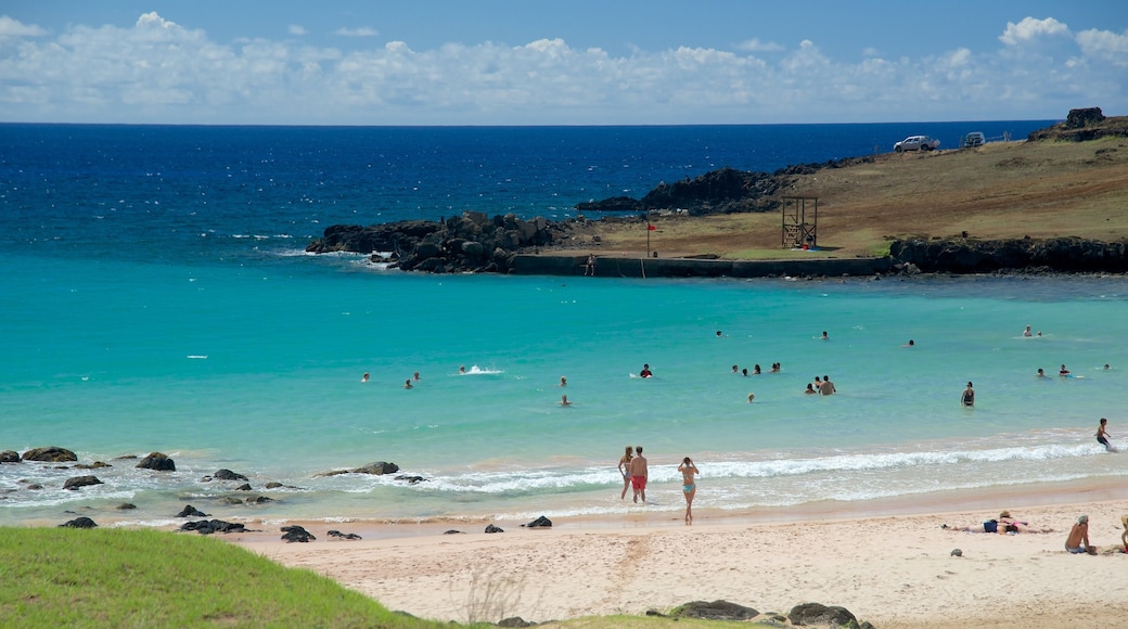 Anakena Beach showing a beach