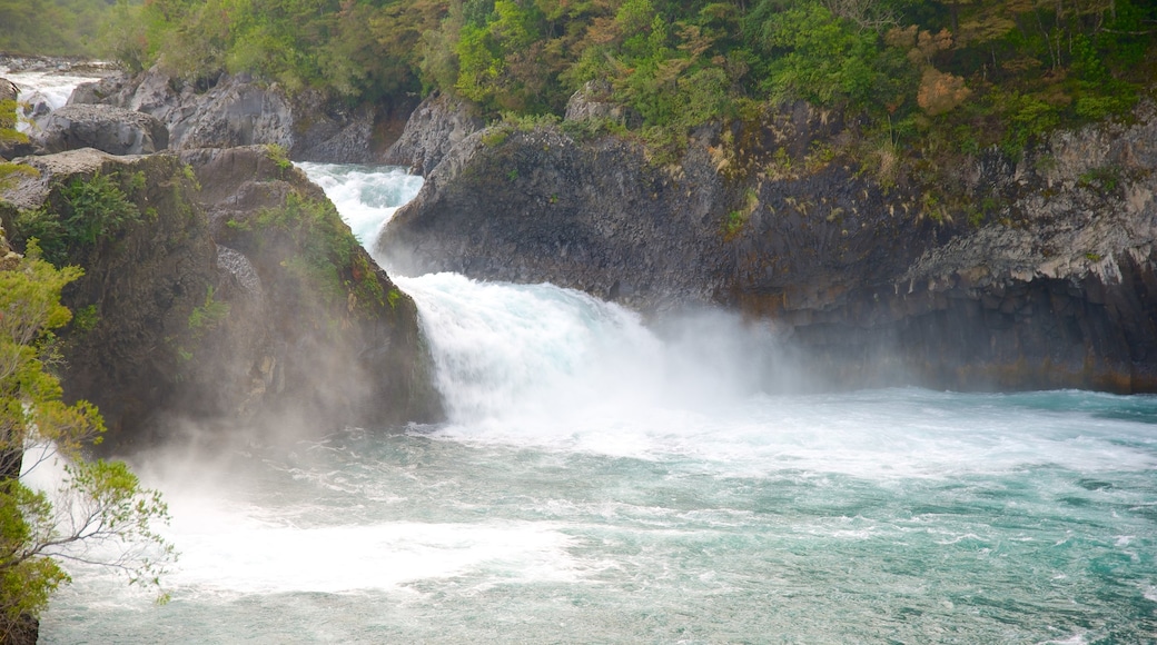 Petrohue Falls featuring a river or creek and rapids