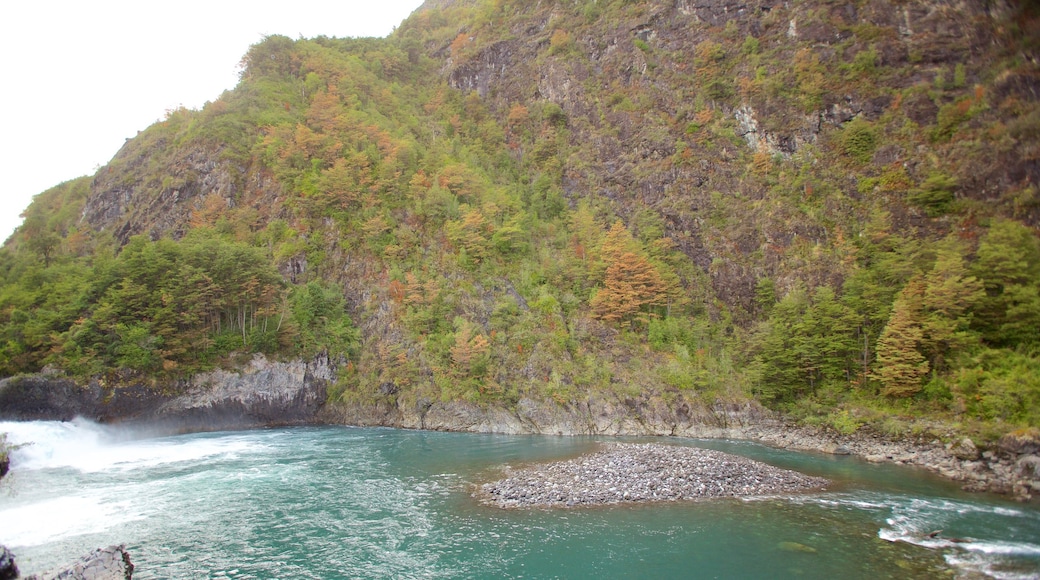 Puerto Montt mettant en vedette scènes tranquilles et rivière ou ruisseau