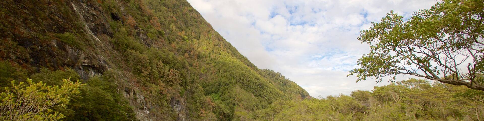 Petrohue Falls featuring mountains and a river or creek