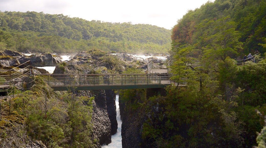 Petrohue Falls featuring a bridge and a river or creek