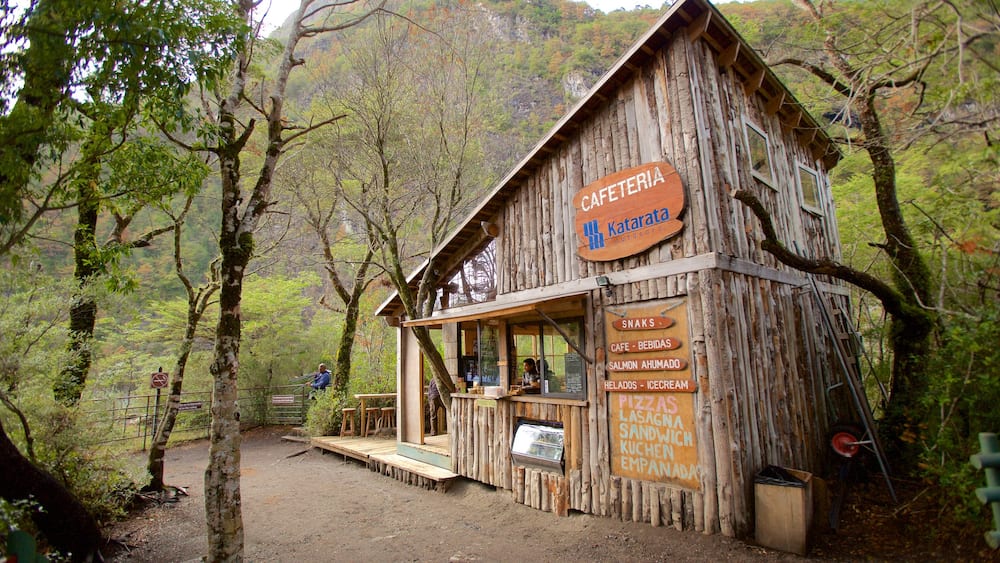 Petrohué Falls welches beinhaltet Wälder und Café-Szenerien