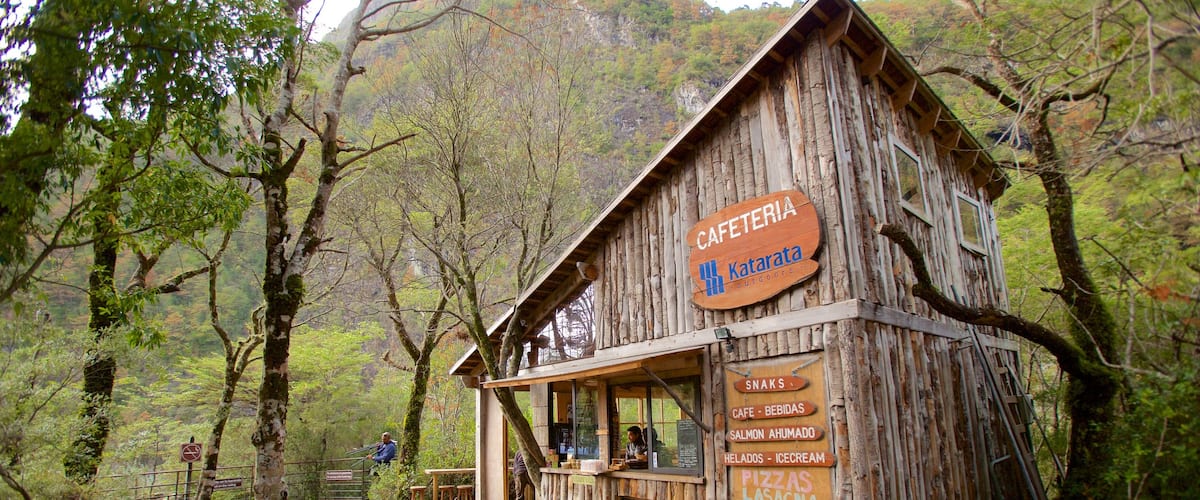 Saltos de Petrohué mostrando estilo de vida de café y escenas forestales