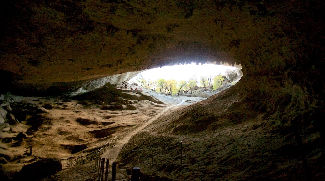 Cueva del Milodón ofreciendo cuevas