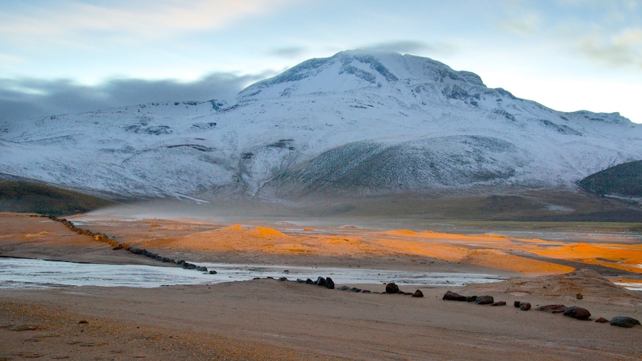 Geiserveld El Tatio inclusief sneeuw, bergen en woestijnen