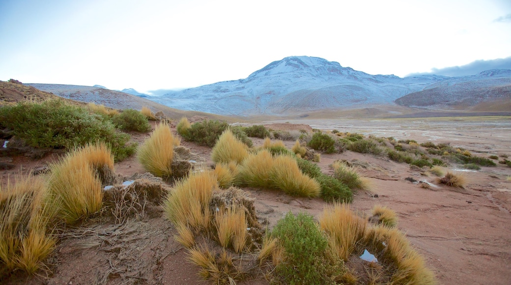 Geyser di El Tatio mostrando vista del paesaggio