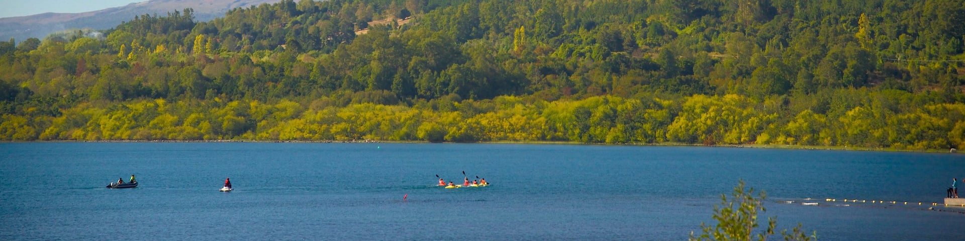 Lake Villarrica featuring a lake or waterhole, mountains and forest scenes