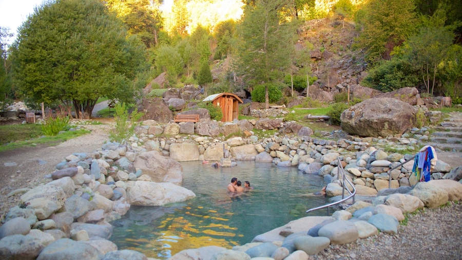 Los Pozones Hot Springs featuring forests and a hot spring