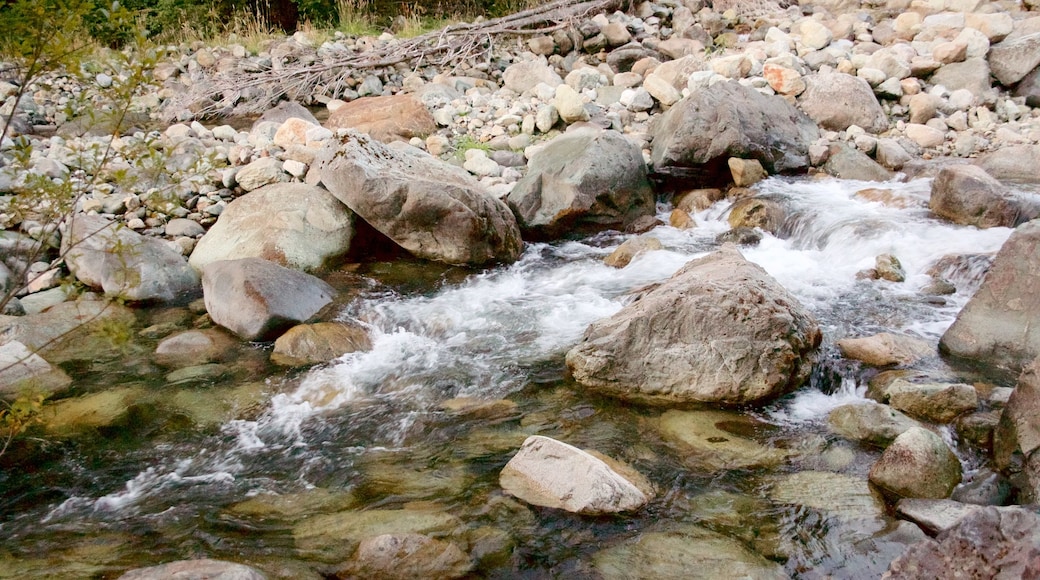 Los Pozones Hot Springs which includes a river or creek