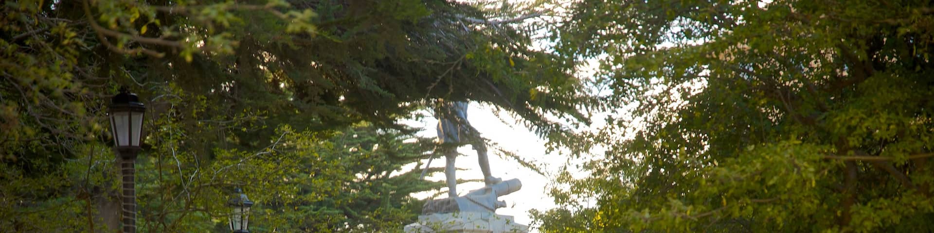 Plaza Munoz Gamero which includes a statue or sculpture and a park