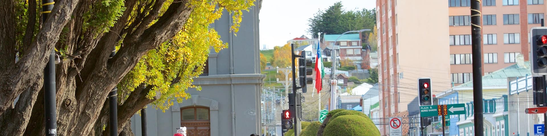 Plaza Munoz Gamero showing street scenes and central business district